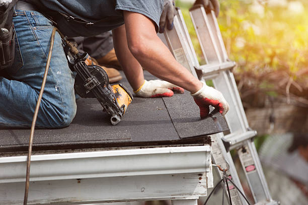 Best Roof Gutter Cleaning  in West Hattiesburg, MS