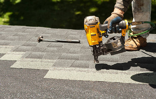 Best Roof Gutter Cleaning  in West Hattiesburg, MS